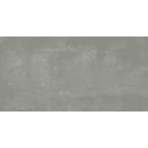 Плитка настенная Primavera Филира серый матовый TP3654AM 60х30 см