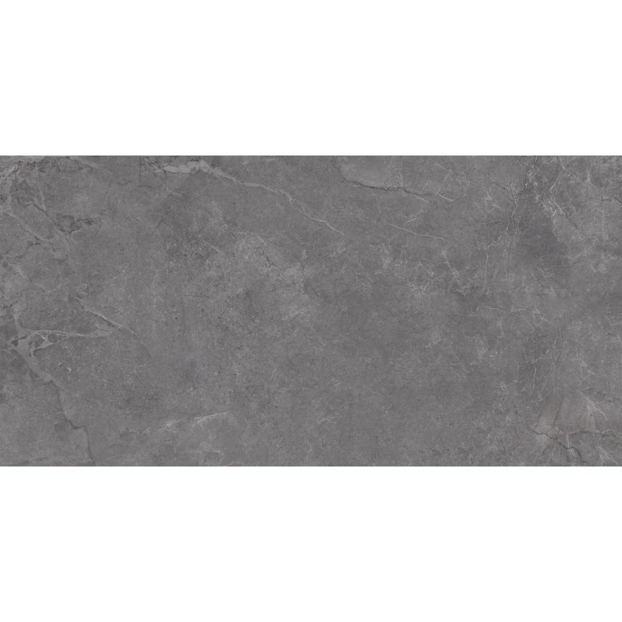 Плитка настенная Laparet Aston серый 00-00-5-18-01-06-4133 60х30 см