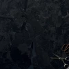 Соло / Solo
