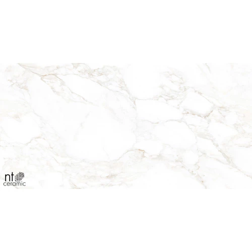 Керамогранит NT Ceramic Marmo Marble Extra Endless Матовый NTT99526M 120х60 см