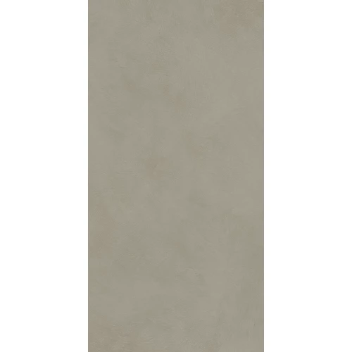 Керамогранит ABK Alterego Mud Nat Rett матовый серый PF60016436 120х60 см