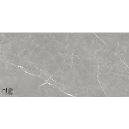 Керамогранит NT Ceramic Pietra NTT1102 Лаппатированный PT612NTT1102L 120х60 см