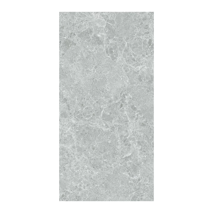 Керамогранит Stn ceramica Charisma P E 3DB grey mt rect 120х60 см