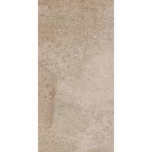 Керамогранит Estima Seed EE02 Неполированный 70217 60,9x30,6 см