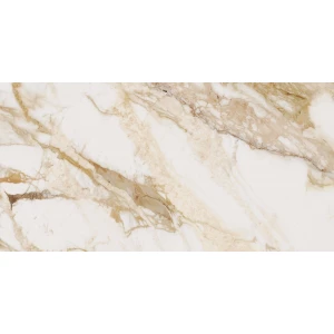 Керамогранит Ocean Ceramic India Loyal OC0000093 120х60 см