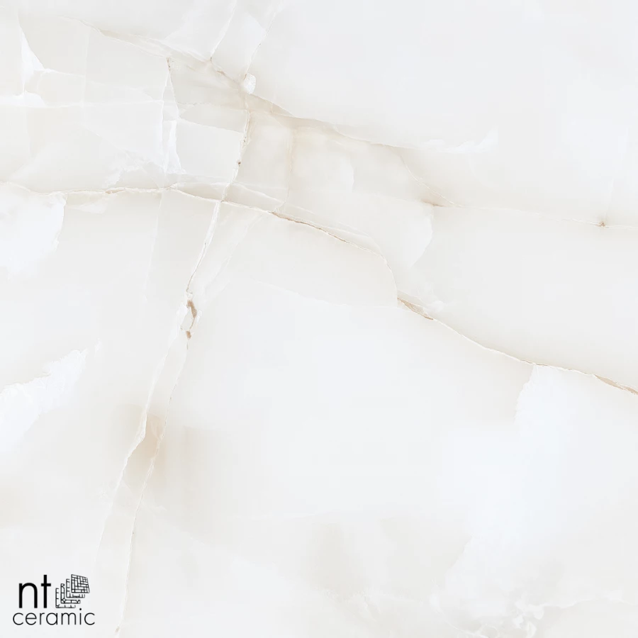Керамогранит NT Ceramic Onyx Majestic Полированный NTT995030P 60х60 см