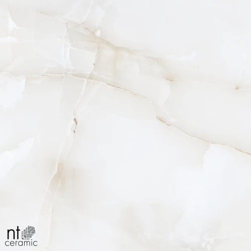 Керамогранит NT Ceramic Onyx Majestic Полированный NTT995030P 60х60 см