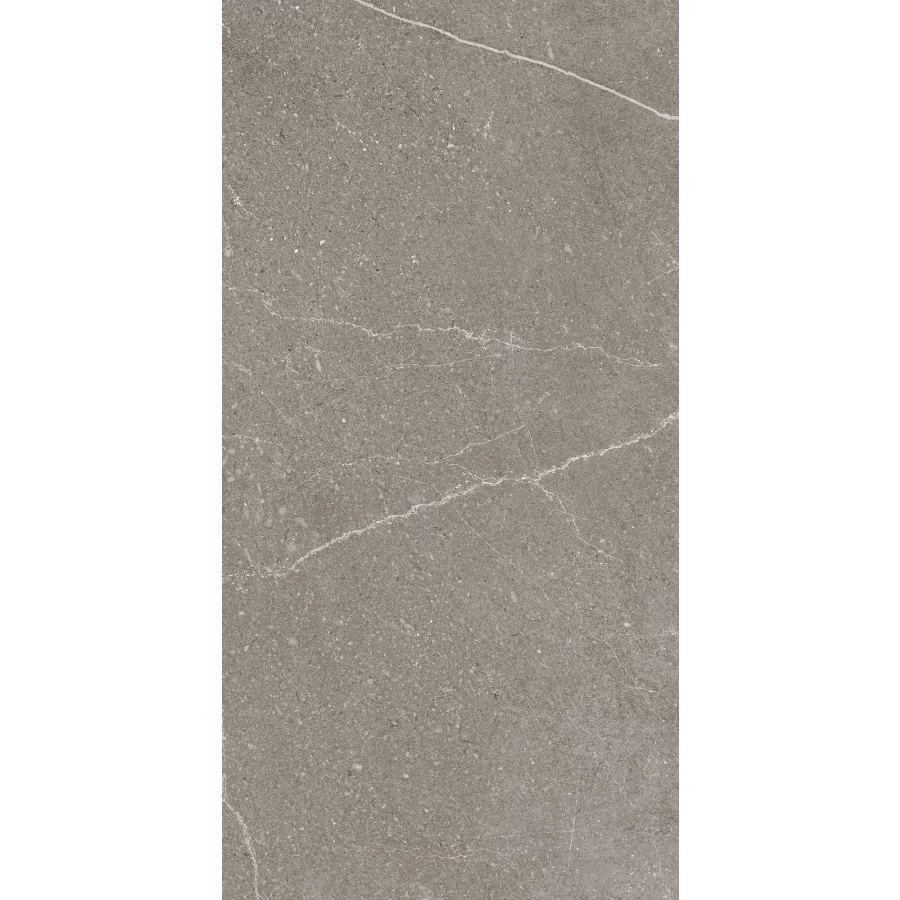 Керамогранит Arcadia Ceramica Equistone Graphite матовый серый RG6002-A 120х60 см