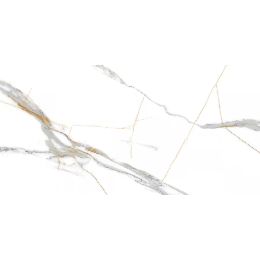 Керамогранит Absolut Gres Roma Grigio Gloss AB 1159G 120х60 см