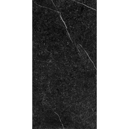 Керамогранит Imola Ceramica Genus gnsg 12N RM ZZ 120х60 см