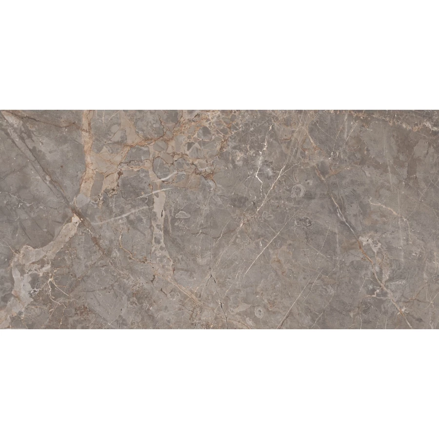 Керамогранит Realistik Miltonia Grey 120х60 см