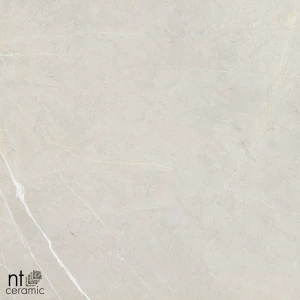 Керамогранит NT Ceramic Bright and Shiny NTT9101 Полированный BB6NTT9101P 60х60 см