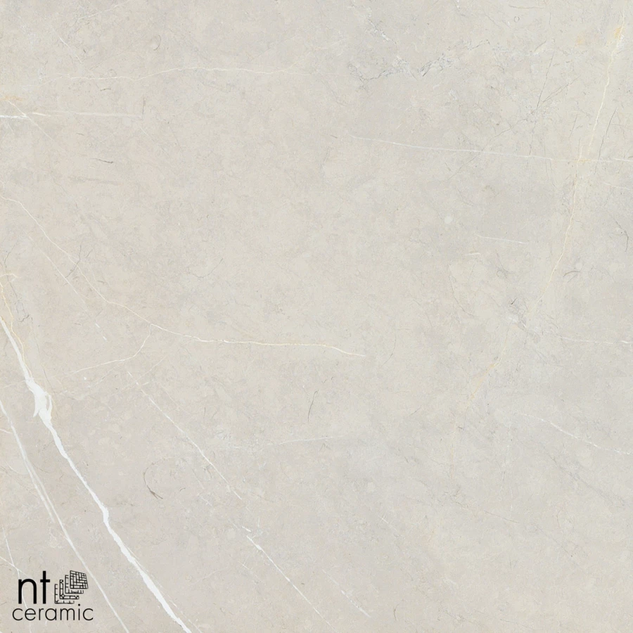 Керамогранит NT Ceramic Bright and Shiny NTT9101 Полированный BB6NTT9101P 60х60 см