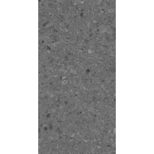 Керамогранит Argenta Флодстен Винтер / Flodsten Winter CB UNGL матовый серый 8435592032931 120х60 см