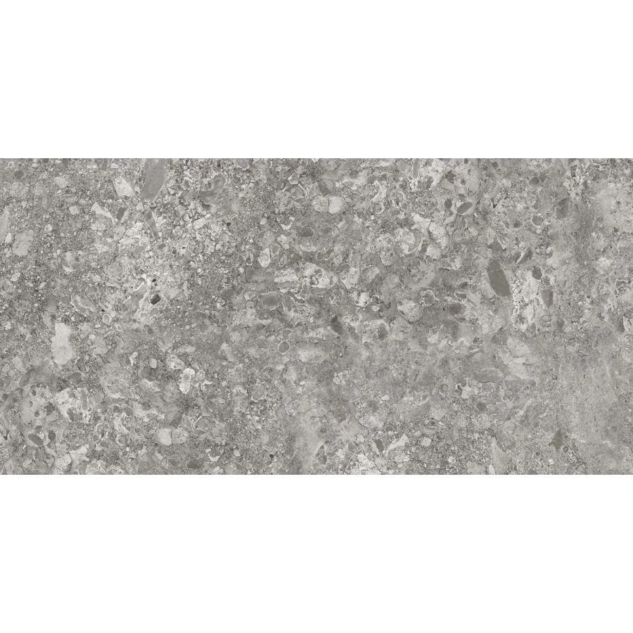 Керамогранит Idalgo Граните Лунар Серый матовый ID9099b054MR 120х60 см