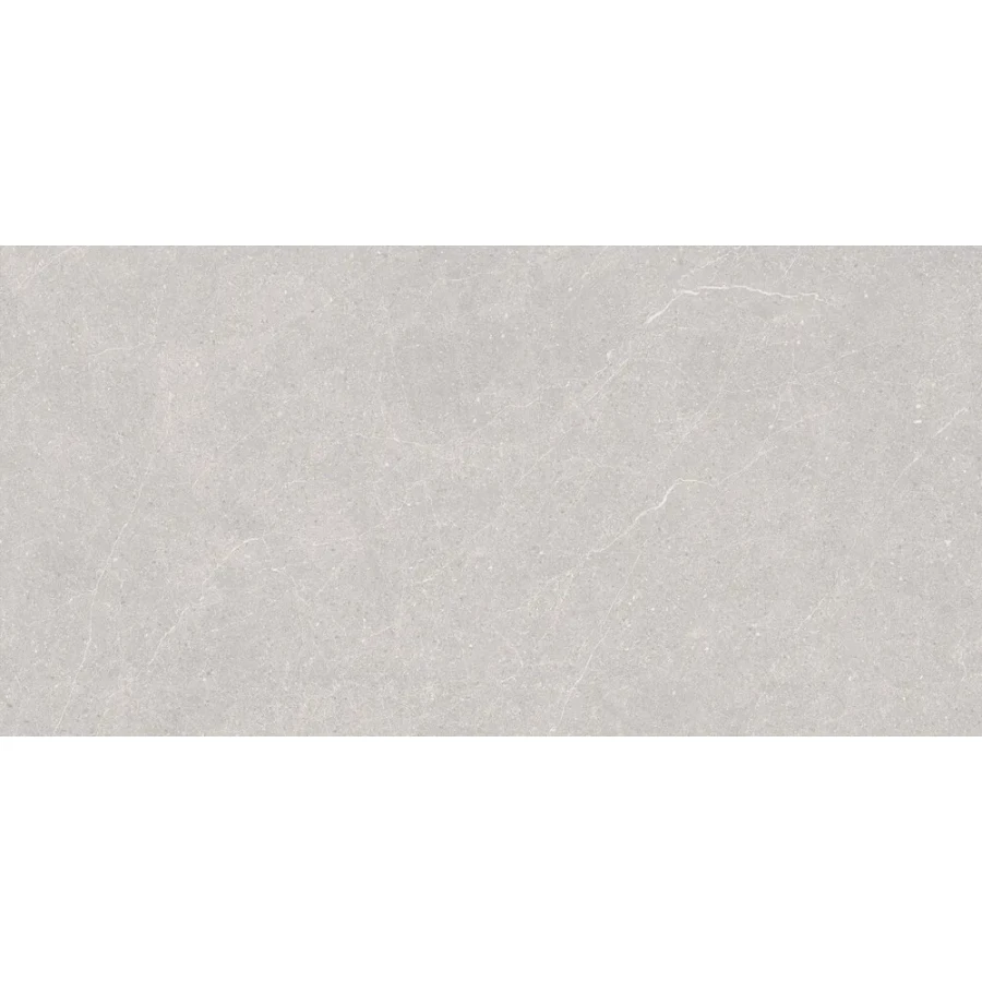 Керамогранит Duna Elenta Ash Carving светло-серый RP-238578 120х60 см