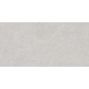 Керамогранит Duna Elenta Ash Carving светло-серый RP-238578 120х60 см