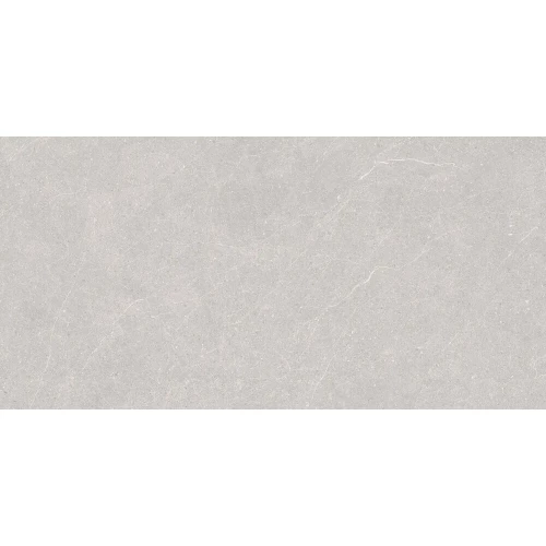 Керамогранит Duna Elenta Ash Carving светло-серый RP-238578 120х60 см