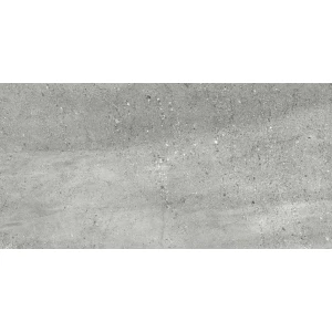 Керамогранит Delacora Romana Gris матовый D120206M 120х60 см