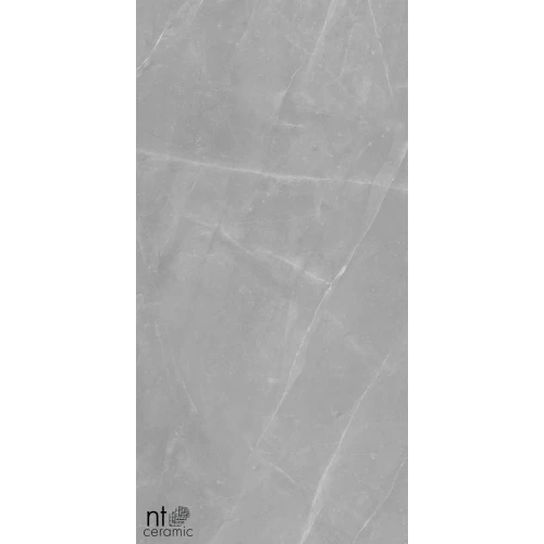 Керамогранит NT Ceramic Granite Limestone Grey Structura Матовый NTT99617M 120х60 см