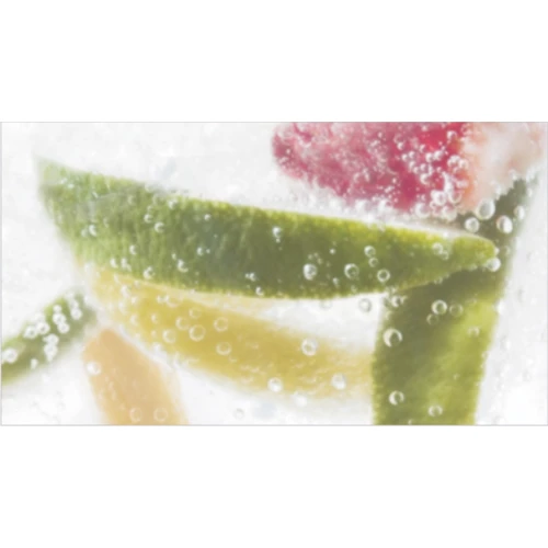 Декор Ceradim Dec Mojito 2 25х45