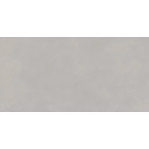 Керамогранит Delacora Life Cement Gray матовый серый D120237M 120х60 см