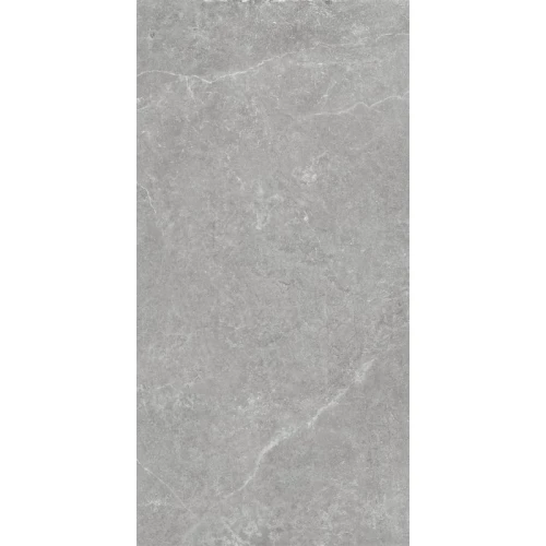 Керамогранит Argenta Шторм Грей / Storm Grey CB матовый серый 8435592033693 120х60 см