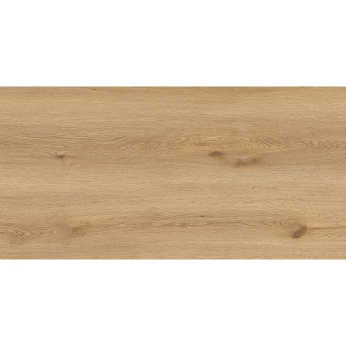 Керамогранит Global Tile Вуди матовый бежевый GT5010026902MCR 100x50 см