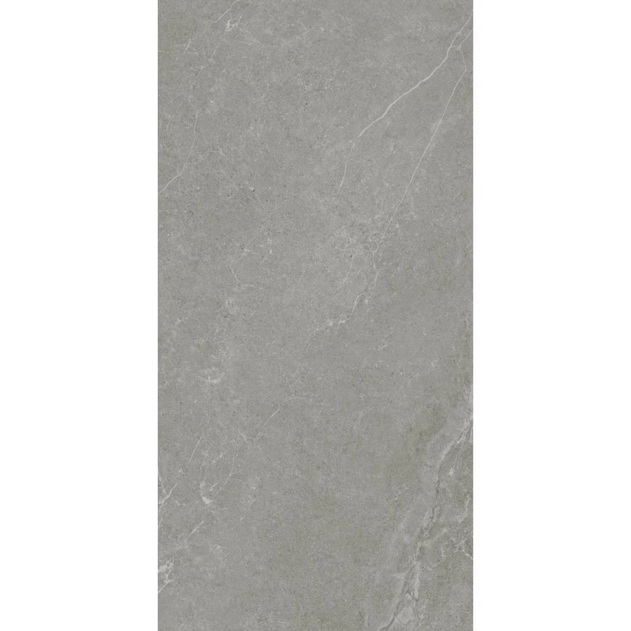 Керамогранит Realistik Ankara Semi Polished Matt серый JN12905F 120x60 см