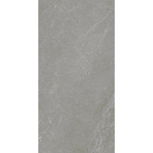 Керамогранит Realistik Ankara Semi Polished Matt серый JN12905F 120x60 см