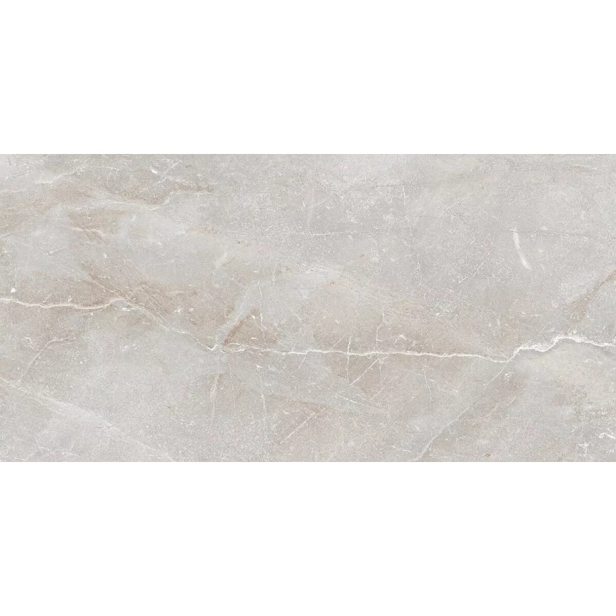 Керамогранит Art Ceramic Stonico Oyster Grey Glossy 1,44 м2 120х60 см