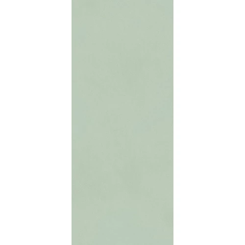 Плитка настенная Fap Ceramiche True Color Matcha RT матовая зеленая fTDV 120x50 см