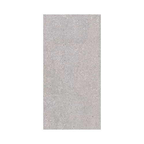 Керамогранит Argenta Сан Виценте Натурал Матт / San Vicente Natural Matt матовый серый 8435592044019 120х60 см