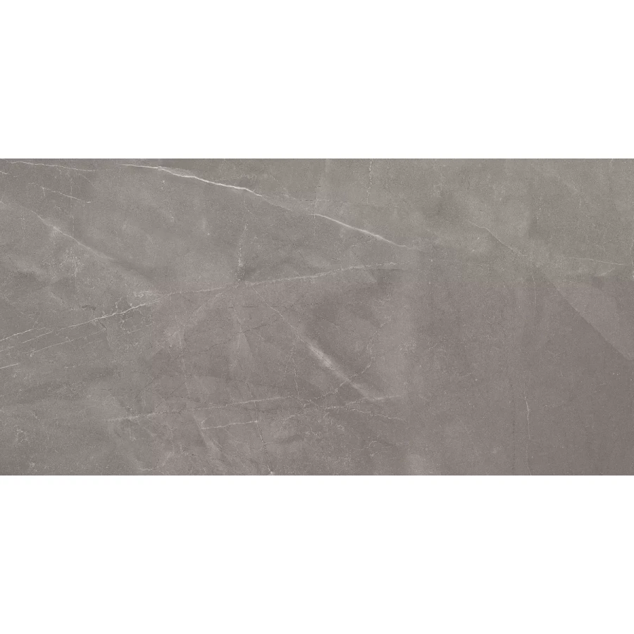 Керамогранит Artceramic Armani Gris Glossy 120x60 см
