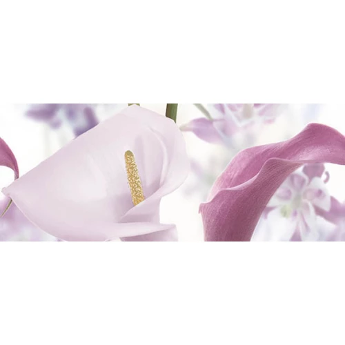 Панно Ceradim Dec Sano A 20х50 см