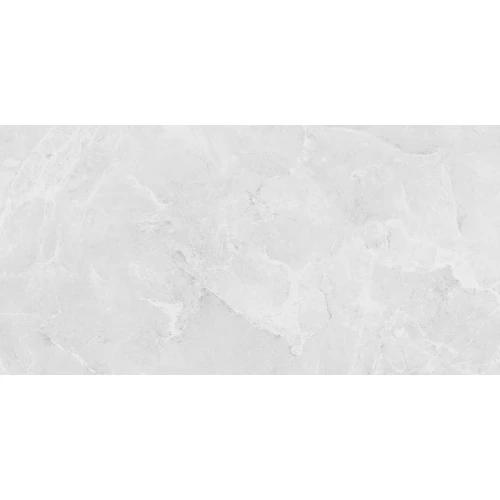 Керамогранит Laparet Berna Silver матовый светло-серый LP6012G0231R 119,1х59,5 см