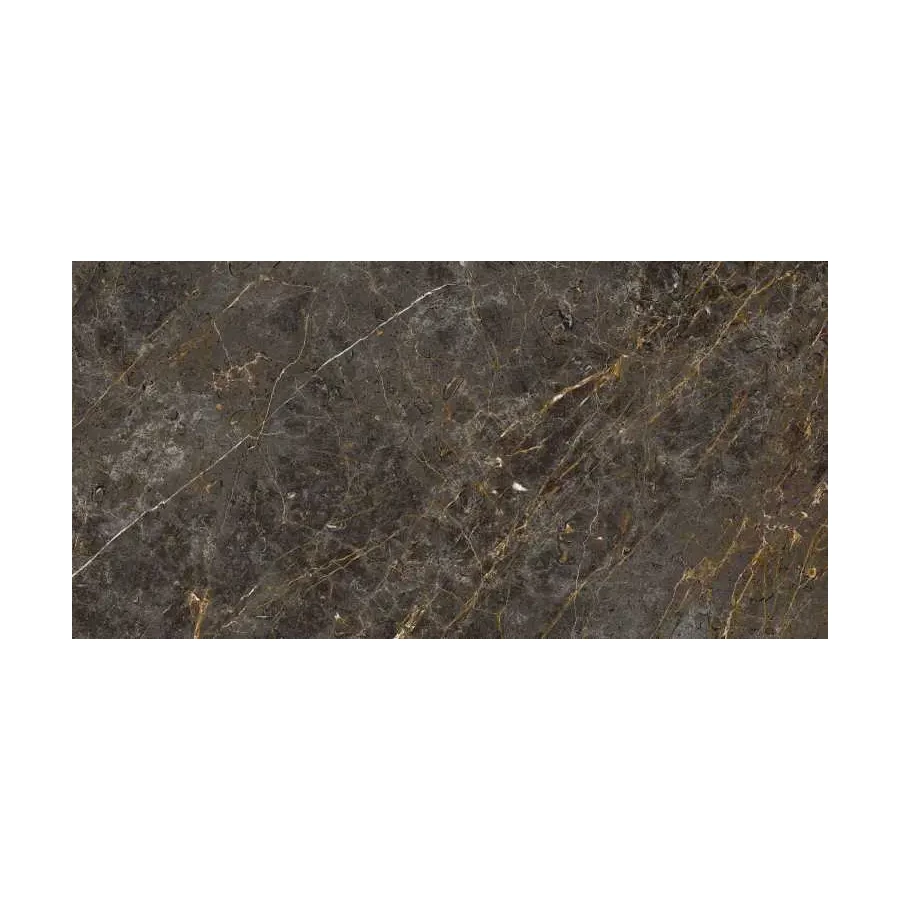 Керамогранит Lafaenza Aesthetica AE GOL6 12 RM матовый коричневый 120х60 см