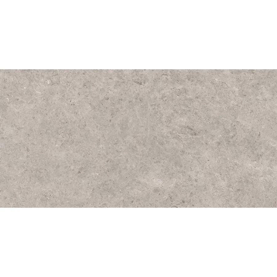 Керамогранит Gravita Seashell Natural R10 Carving серый 120х60 см