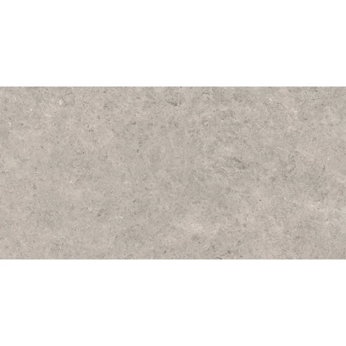 Керамогранит Gravita Seashell Natural R10 Carving серый 120х60 см