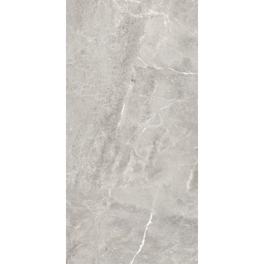 Керамогранит ProGRES Модерн серый матовый NR0173 120х60 см