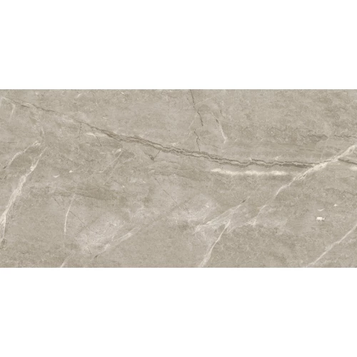 Керамический гранит глазурованный LeeDo Ceramica Breccia Silver Venato POL 120x60 см