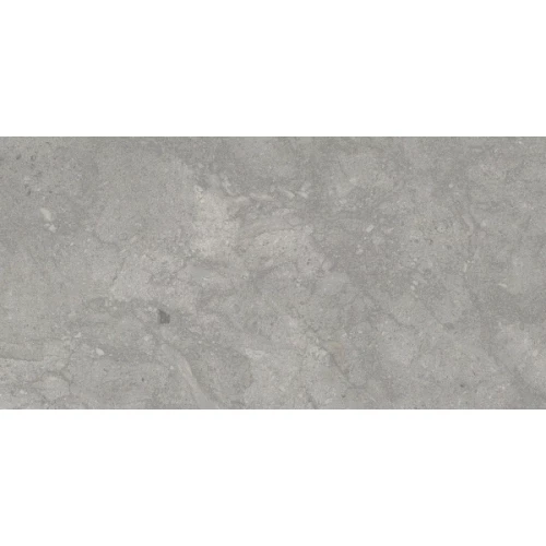 Керамогранит Eurotile Ceramica Reef Stone Matt матовый серый 7930138703142 120х60 см