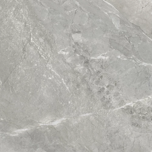 Керамогранит Delacora Wild Light матовый серый D60259M 60х60 см
