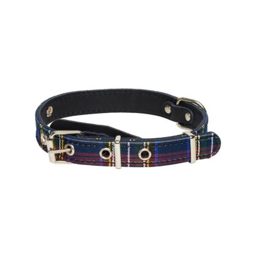 Ошейник для собак Аркон Несси черный он20ч 27-39 см 20 мм