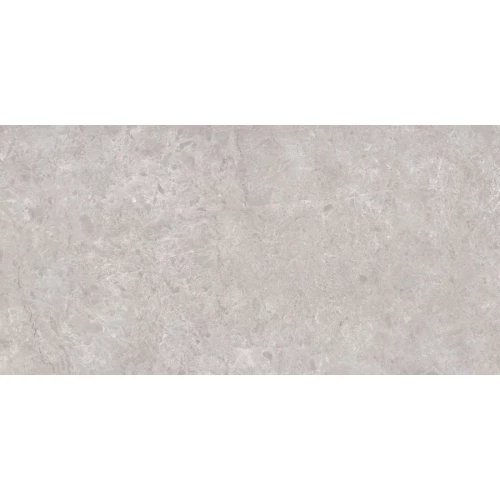 Керамогранит Neodom Sale Tokyo Grey Polished серый N20488 160х80 см