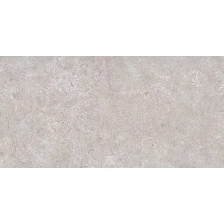 Керамогранит Neodom Sale Tokyo Grey Polished серый N20488 160х80 см