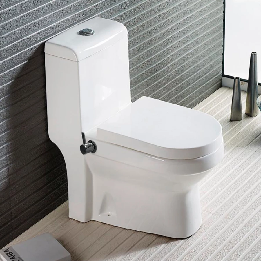 Унитаз-моноблок Azario Brusco напольный со встроенной функцией биде в комплекте с сиденьем дюропласт микролифт AZ-1085B 70x38x80.5 см