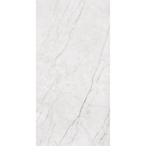 Керамогранит Arcadia Ceramica Meteria Silver Carving светло-серый CR4014-A 120х60 см