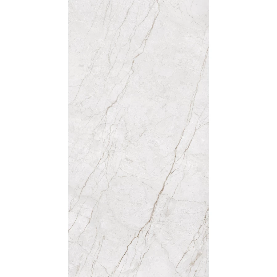 Керамогранит Arcadia Ceramica Meteria Silver Carving светло-серый CR4014-A 120х60 см