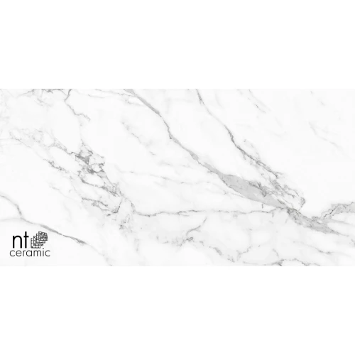 Керамогранит NT Ceramic Bright and Shiny Statuario Infinity Матовый NTT9125M 120х60 см